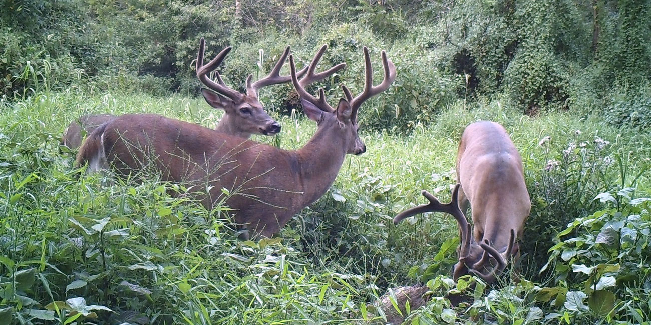 On Target With Nature Podcast