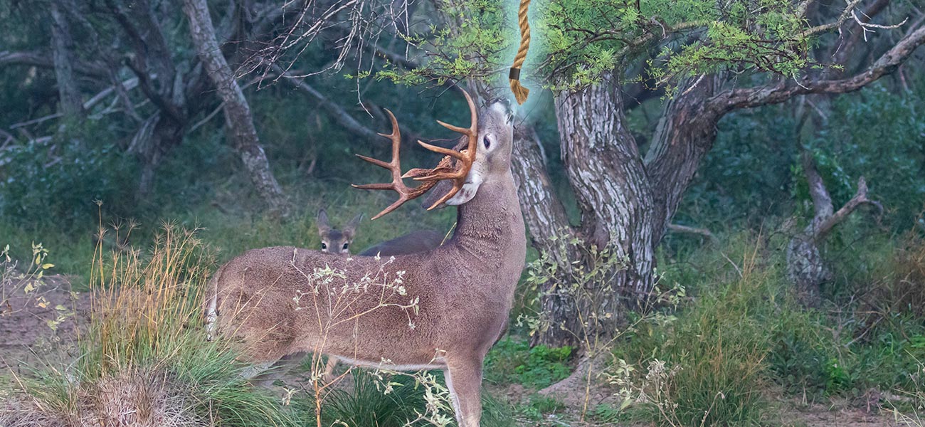 On Target With Nature Podcast
