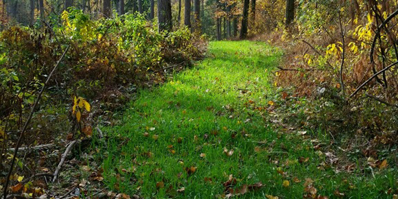 On Target With Nature Podcast